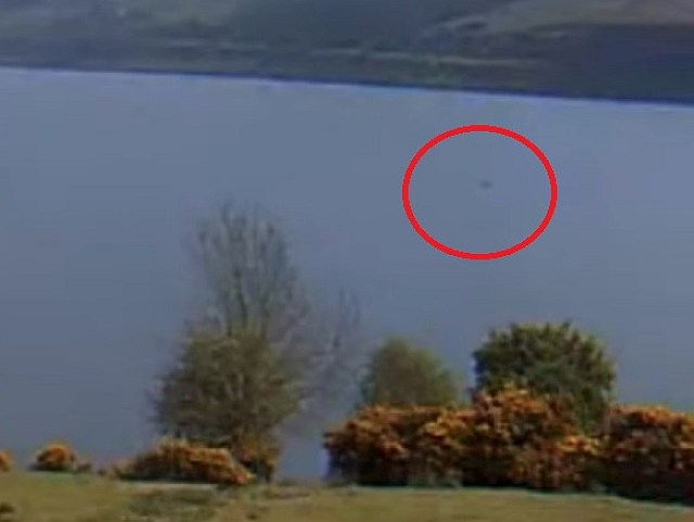 Крупное темное плывущее существо попало на камеру наблюдения у озера Лох-Несс